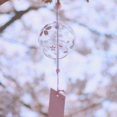 半岛综合app官网登录