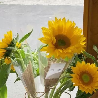 b体育登录入口app下载安装